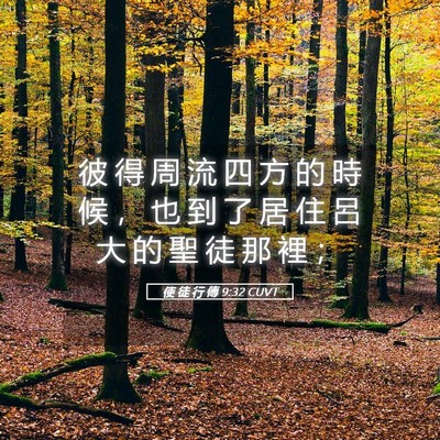 Picture 05 - 使 徒 行 傳 9:32 CUVT - 彼 得 周 流 四 方 的 時 候 ， 也 到 - Bible Verse Picture