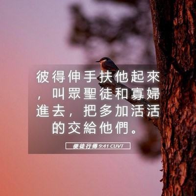 Picture 05 - 使 徒 行 傳 9:41 CUVT - 彼 得 伸 手 扶 他 起 來 ， 叫 眾 聖 - Bible Verse Picture