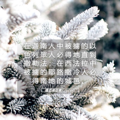 Picture 05 - 俄 巴 底 亞 書 1:20 CUVT - 在 迦 南 人 中 被 擄 的 以 色 列 眾 - Bible Verse Picture