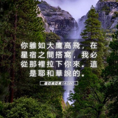 Picture 05 - 俄 巴 底 亞 書 1:4 CUVT - 你 雖 如 大 鷹 高 飛 ， 在 星 宿 之 - Bible Verse Picture