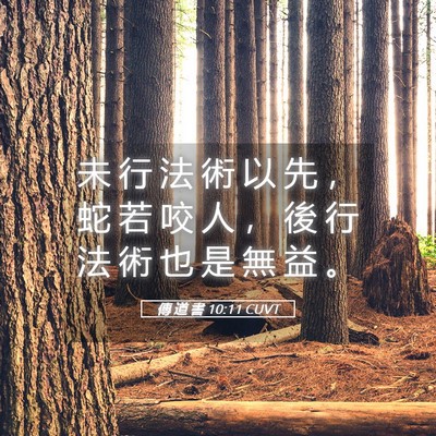 Picture 05 - 傳 道 書 10:11 CUVT - 未 行 法 術 以 先 ， 蛇 若 咬 人 ， - Bible Verse Picture