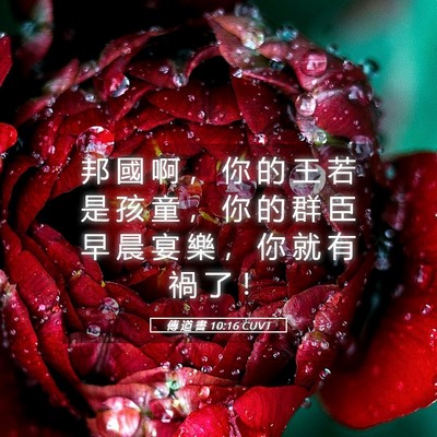 Picture 05 - 傳 道 書 10:16 CUVT - 邦 國 啊 ， 你 的 王 若 是 孩 童 ， - Bible Verse Picture