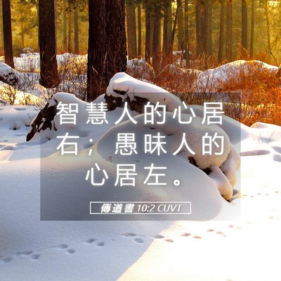 Picture 05 - 傳 道 書 10:2 CUVT - 智 慧 人 的 心 居 右 ； 愚 昧 人 的 - Bible Verse Picture
