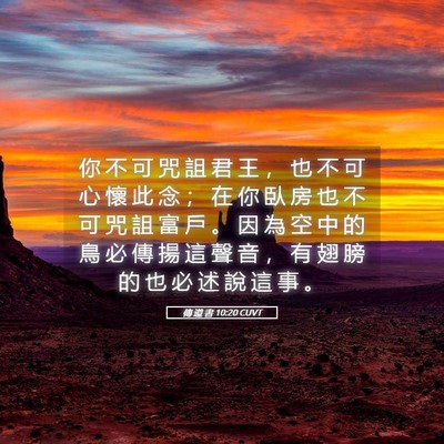 Picture 05 - 傳 道 書 10:20 CUVT - 你 不 可 咒 詛 君 王 ， 也 不 可 心 - Bible Verse Picture