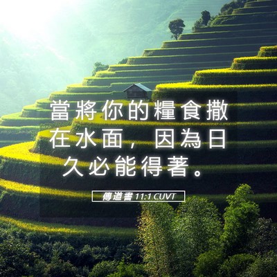 Picture 05 - 傳 道 書 11:1 CUVT - 當 將 你 的 糧 食 撒 在 水 面 ， 因 - Bible Verse Picture