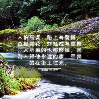 Picture 05 - 傳 道 書 12:5 CUVT - 人 怕 高 處 ， 路 上 有 驚 慌 ， 杏 - Bible Verse Picture