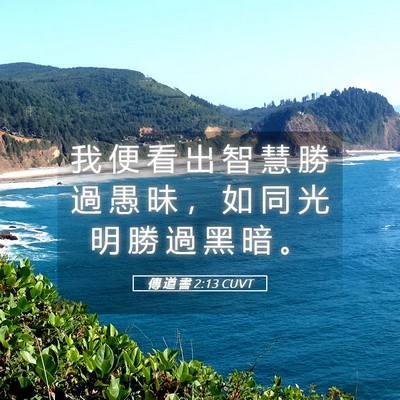 Picture 05 - 傳 道 書 2:13 CUVT - 我 便 看 出 智 慧 勝 過 愚 昧 ， 如 - Bible Verse Picture