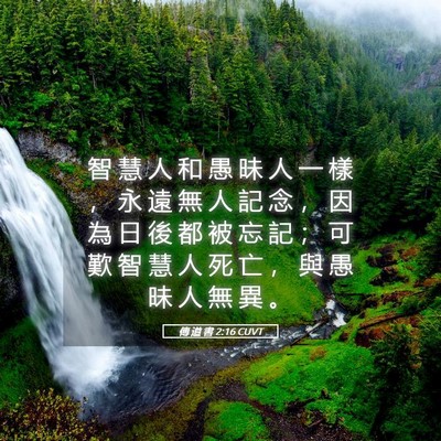 Picture 05 - 傳 道 書 2:16 CUVT - 智 慧 人 和 愚 昧 人 一 樣 ， 永 遠 - Bible Verse Picture