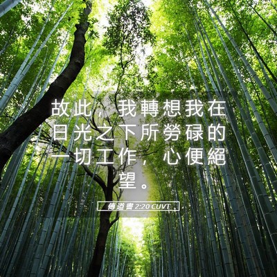 Picture 05 - 傳 道 書 2:20 CUVT - 故 此 ， 我 轉 想 我 在 日 光 之 下 - Bible Verse Picture