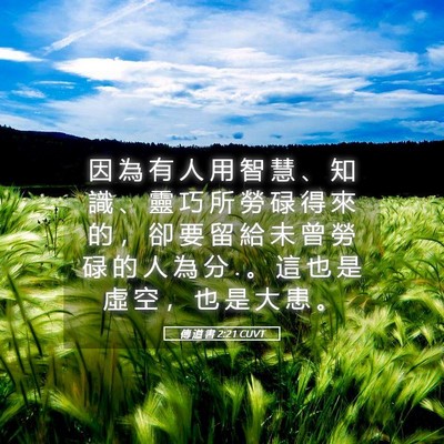 Picture 05 - 傳 道 書 2:21 CUVT - 因 為 有 人 用 智 慧 、 知 識 、 靈 - Bible Verse Picture