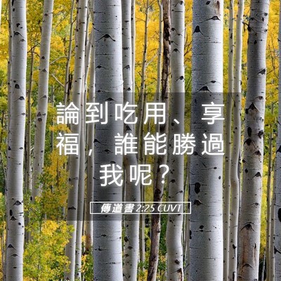Picture 05 - 傳 道 書 2:25 CUVT - 論 到 吃 用 、 享 福 ， 誰 能 勝 過 - Bible Verse Picture