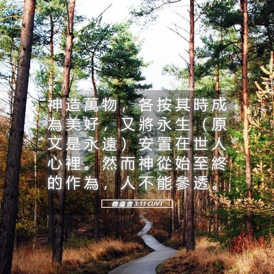 Picture 05 - 傳 道 書 3:11 CUVT - 神 造 萬 物 ， 各 按 其 時 成 為 美 - Bible Verse Picture