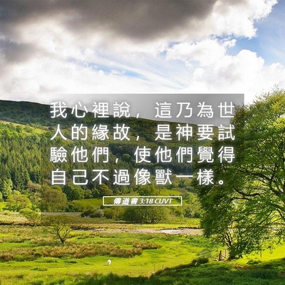 Picture 05 - 傳 道 書 3:18 CUVT - 我 心 裡 說 ， 這 乃 為 世 人 的 緣 - Bible Verse Picture