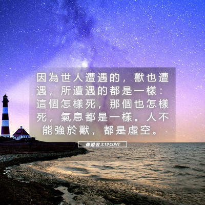 Picture 05 - 傳 道 書 3:19 CUVT - 因 為 世 人 遭 遇 的 ， 獸 也 遭 遇 - Bible Verse Picture
