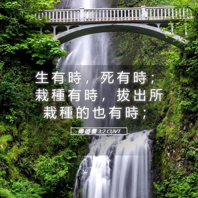 Picture 05 - 傳 道 書 3:2 CUVT - 生 有 時 ， 死 有 時 ； 栽 種 有 時 - Bible Verse Picture