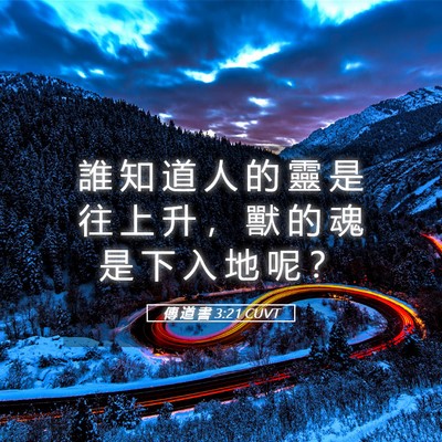 Picture 05 - 傳 道 書 3:21 CUVT - 誰 知 道 人 的 靈 是 往 上 升 ， 獸 - Bible Verse Picture