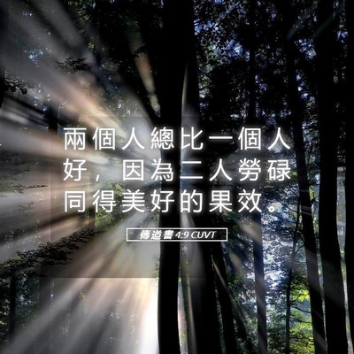 Picture 05 - 傳 道 書 4:9 CUVT - 兩 個 人 總 比 一 個 人 好 ， 因 為 - Bible Verse Picture