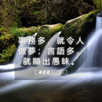 Picture 05 - 傳 道 書 5:3 CUVT - 事 務 多 ， 就 令 人 做 夢 ； 言 語 - Bible Verse Picture