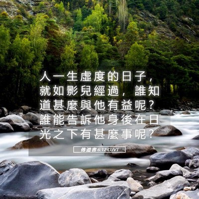 Picture 05 - 傳 道 書 6:12 CUVT - 人 一 生 虛 度 的 日 子 ， 就 如 影 - Bible Verse Picture
