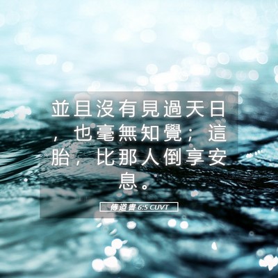 Picture 05 - 傳 道 書 6:5 CUVT - 並 且 沒 有 見 過 天 日 ， 也 毫 無 - Bible Verse Picture