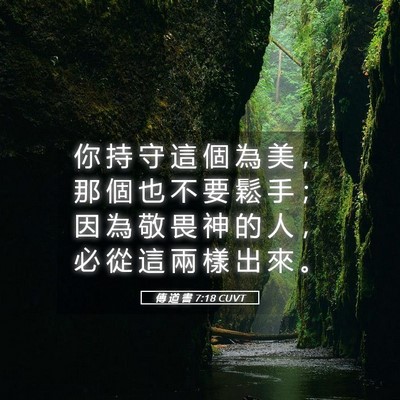Picture 05 - 傳 道 書 7:18 CUVT - 你 持 守 這 個 為 美 ， 那 個 也 不 - Bible Verse Picture