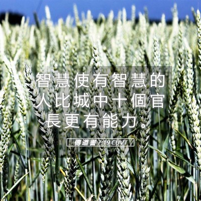 Picture 05 - 傳 道 書 7:19 CUVT - 智 慧 使 有 智 慧 的 人 比 城 中 十 - Bible Verse Picture