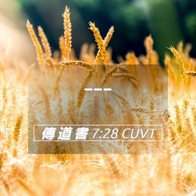 Picture 05 - 傳 道 書 7:28 CUVT -  - Bible Verse Picture