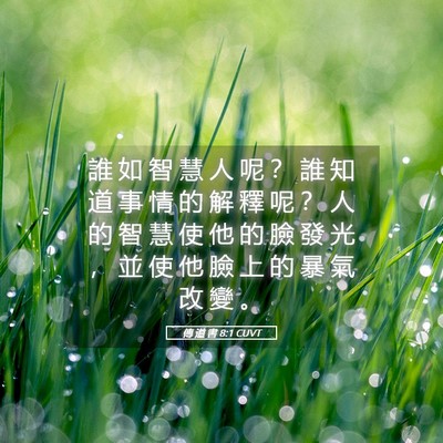 Picture 05 - 傳 道 書 8:1 CUVT - 誰 如 智 慧 人 呢 ？ 誰 知 道 事 情 - Bible Verse Picture