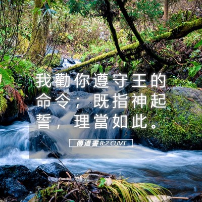 Picture 05 - 傳 道 書 8:2 CUVT - 我 勸 你 遵 守 王 的 命 令 ； 既 指 - Bible Verse Picture