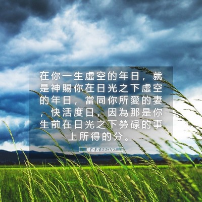 Picture 05 - 傳 道 書 9:9 CUVT - 在 你 一 生 虛 空 的 年 日 ， 就 是 - Bible Verse Picture