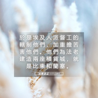 Picture 05 - 出 埃 及 記 1:11 CUVT - 於 是 埃 及 人 派 督 工 的 轄 制 他 - Bible Verse Picture