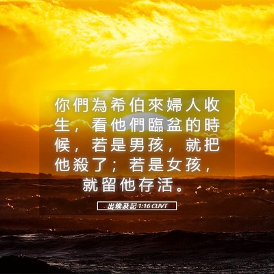 Picture 05 - 出 埃 及 記 1:16 CUVT - 你 們 為 希 伯 來 婦 人 收 生 ， 看 - Bible Verse Picture
