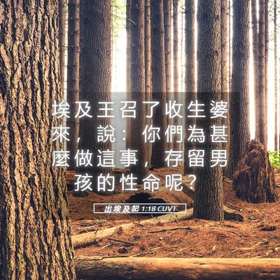 Picture 05 - 出 埃 及 記 1:18 CUVT - 埃 及 王 召 了 收 生 婆 來 ， 說 ： - Bible Verse Picture