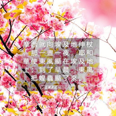 Picture 05 - 出 埃 及 記 10:13 CUVT - 摩 西 就 向 埃 及 地 伸 杖 ， 那 一 - Bible Verse Picture