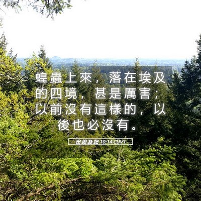Picture 05 - 出 埃 及 記 10:14 CUVT - 蝗 蟲 上 來 ， 落 在 埃 及 的 四 境 - Bible Verse Picture