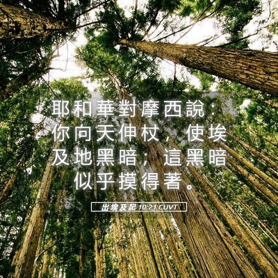 Picture 05 - 出 埃 及 記 10:21 CUVT - 耶 和 華 對 摩 西 說 ： 你 向 天 伸 - Bible Verse Picture