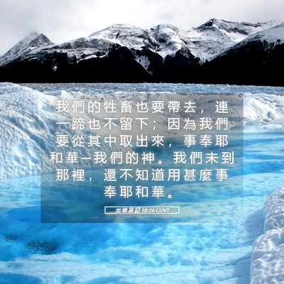 Picture 05 - 出 埃 及 記 10:26 CUVT - 我 們 的 牲 畜 也 要 帶 去 ， 連 一 - Bible Verse Picture