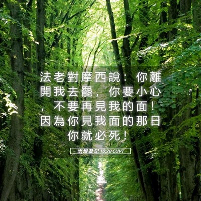 Picture 05 - 出 埃 及 記 10:28 CUVT - 法 老 對 摩 西 說 ： 你 離 開 我 去 - Bible Verse Picture