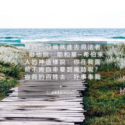 Picture 05 - 出 埃 及 記 10:3 CUVT - 摩 西 、 亞 倫 就 進 去 見 法 老 ， - Bible Verse Picture