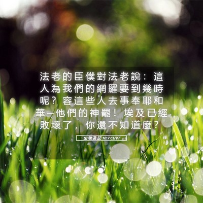 Picture 05 - 出 埃 及 記 10:7 CUVT - 法 老 的 臣 僕 對 法 老 說 ： 這 人 - Bible Verse Picture