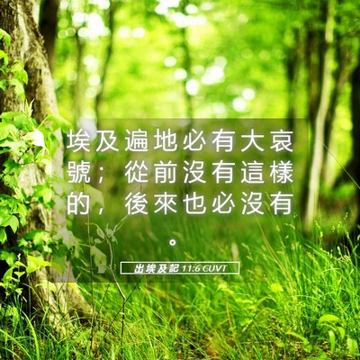 Picture 05 - 出 埃 及 記 11:6 CUVT - 埃 及 遍 地 必 有 大 哀 號 ； 從 前 - Bible Verse Picture