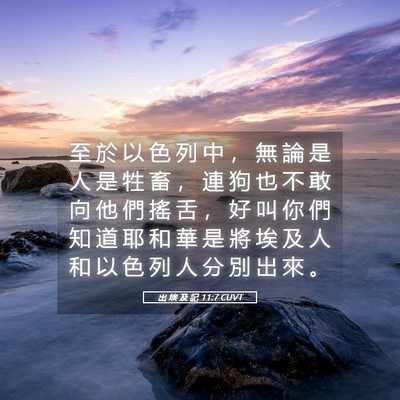 Picture 05 - 出 埃 及 記 11:7 CUVT - 至 於 以 色 列 中 ， 無 論 是 人 是 - Bible Verse Picture