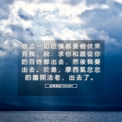 Picture 05 - 出 埃 及 記 11:8 CUVT - 你 這 一 切 臣 僕 都 要 俯 伏 來 見 - Bible Verse Picture