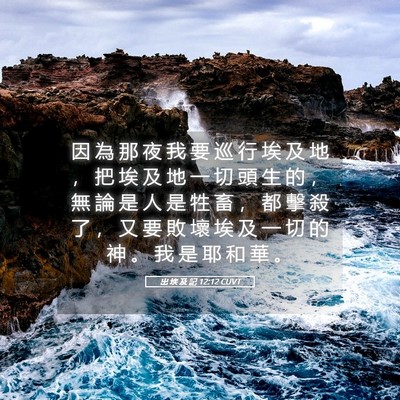 Picture 05 - 出 埃 及 記 12:12 CUVT - 因 為 那 夜 我 要 巡 行 埃 及 地 ， - Bible Verse Picture