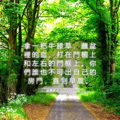 Picture 05 - 出 埃 及 記 12:22 CUVT - 拿 一 把 牛 膝 草 ， 蘸 盆 裡 的 血 - Bible Verse Picture