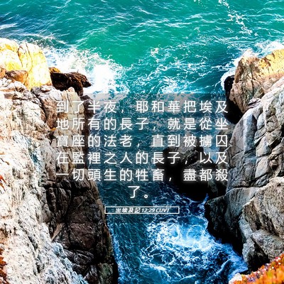 Picture 05 - 出 埃 及 記 12:29 CUVT - 到 了 半 夜 ， 耶 和 華 把 埃 及 地 - Bible Verse Picture