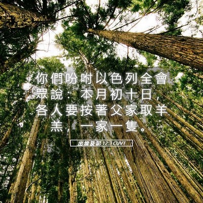 Picture 05 - 出 埃 及 記 12:3 CUVT - 你 們 吩 咐 以 色 列 全 會 眾 說 ： - Bible Verse Picture