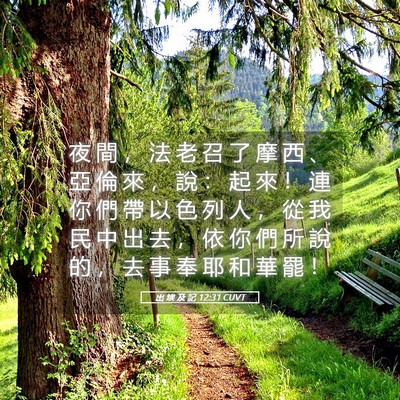 Picture 05 - 出 埃 及 記 12:31 CUVT - 夜 間 ， 法 老 召 了 摩 西 、 亞 倫 - Bible Verse Picture