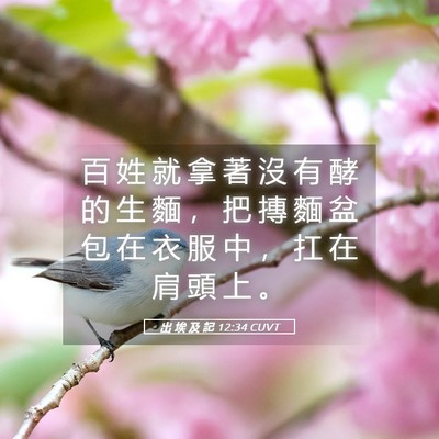 Picture 05 - 出 埃 及 記 12:34 CUVT - 百 姓 就 拿 著 沒 有 酵 的 生 麵 ， - Bible Verse Picture