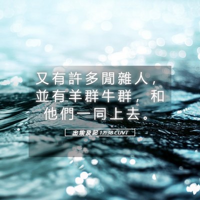 Picture 05 - 出 埃 及 記 12:38 CUVT - 又 有 許 多 閒 雜 人 ， 並 有 羊 群 - Bible Verse Picture